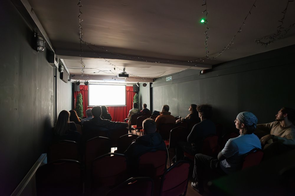 Audience at Screen Culture, The Raven 2024